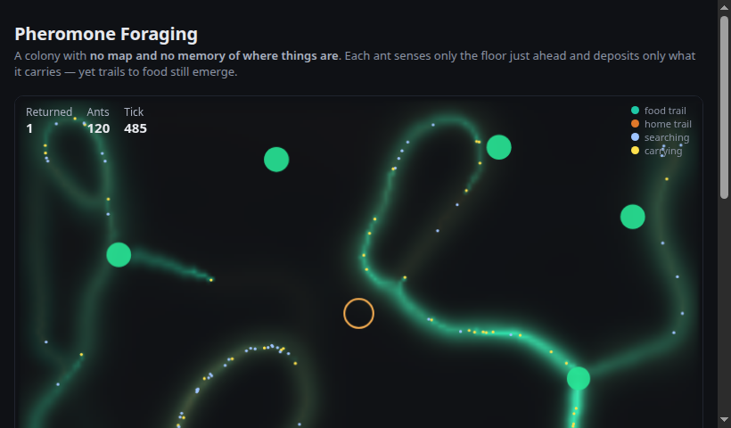 Pheromone Foraging