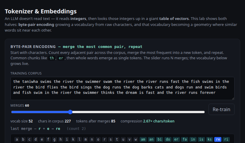 Tokenizer & Embeddings
